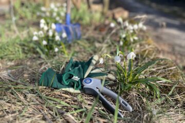 Gartenschere, Gartenhandschuhe liegen neben einem Märzbecher in einem Beet